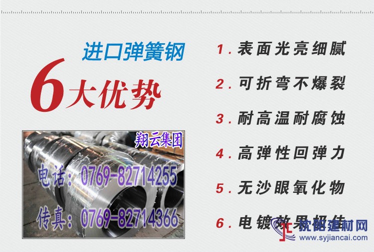 德国C67S软料弹簧钢带