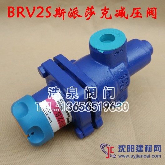斯派莎克BRV2S直接作用式螺纹蒸汽减压阀