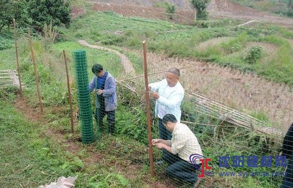 伊林现货瓦房店山地散养鸡围栏网