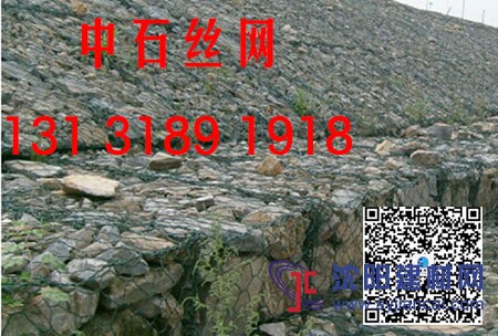 河岸修复绿格网 防洪护堤格宾网箱 绿滨垫护坡
