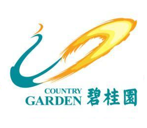 碧桂园--苏家屯项目会所
