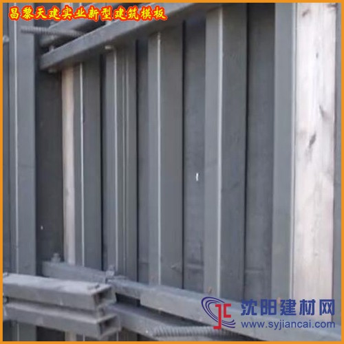 新型剪力墙模板支撑辽宁供应天建实业产品