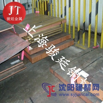 供应进口C18500铜棒