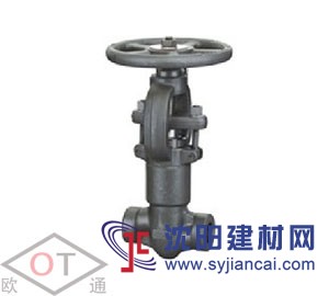 通化批发黑皮锻钢阀门，锻钢丝扣闸阀Z61H-800