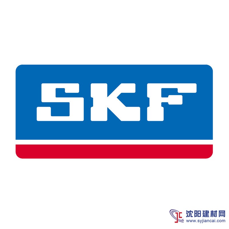 BK2012进口轴承SKF