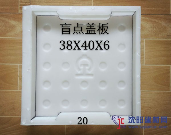 38x40x6沈阳盖板塑料模具