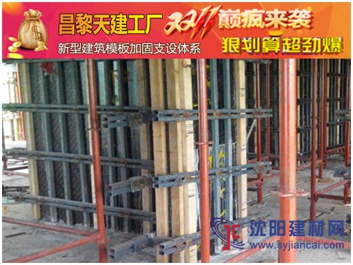新型钢背楞支撑体系-加固灌注墙体一次成型