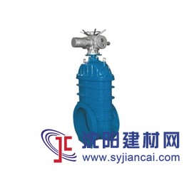 大连盘锦营口伞齿轮传动闸阀Z545T-10DN800