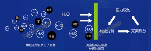 央视曝光室内污染问题 有什么理由不用克洛斯威硅藻泥