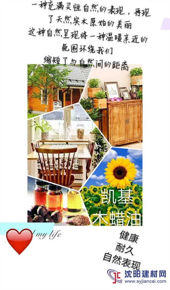 木蜡油