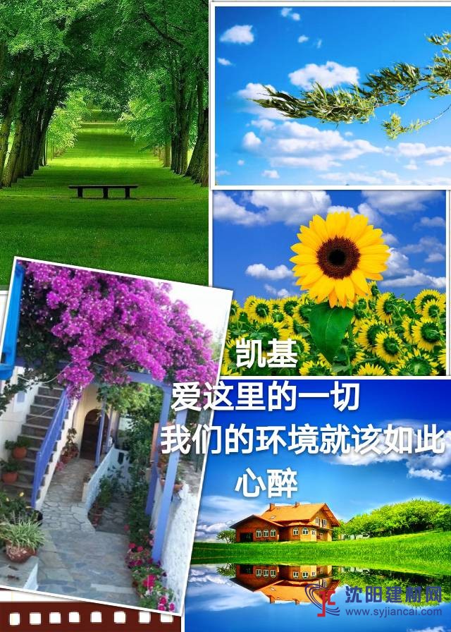 纯天然植物内墙漆