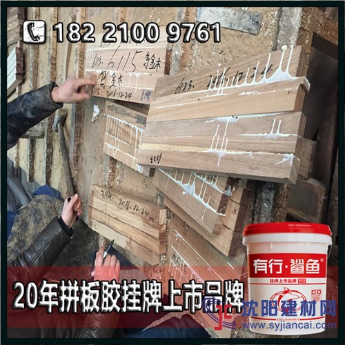 【拼板胶老牌爆点】拼板胶认可的