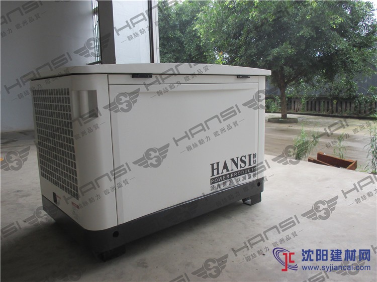 上海翰丝25千瓦汽油发电机HS25REG