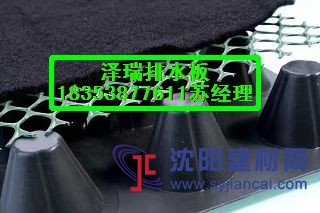 湖南2公分车库专用排水板%绿化蓄排水板183538