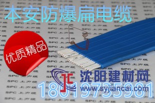 上海厂家直供防爆电缆