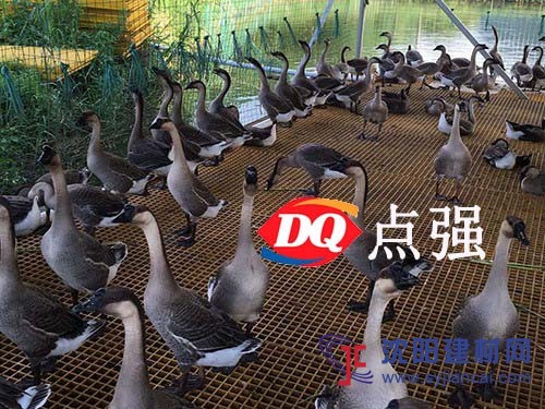 养殖专用玻璃钢格栅@长春养殖专用玻璃钢格栅生产厂家