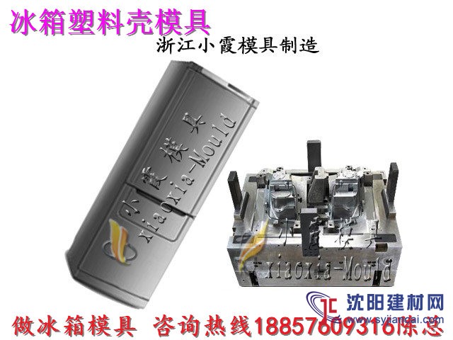 塑料模具厂 冷柜壳模具 保鲜柜壳模具 冰箱塑胶模具