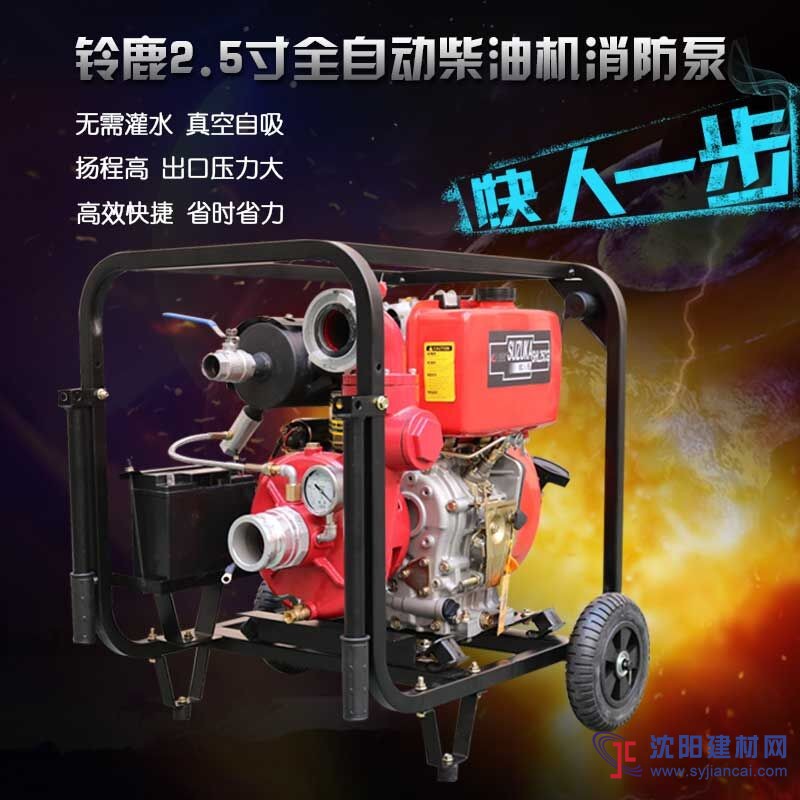 0.65公斤压力的2.5寸柴油机消防泵