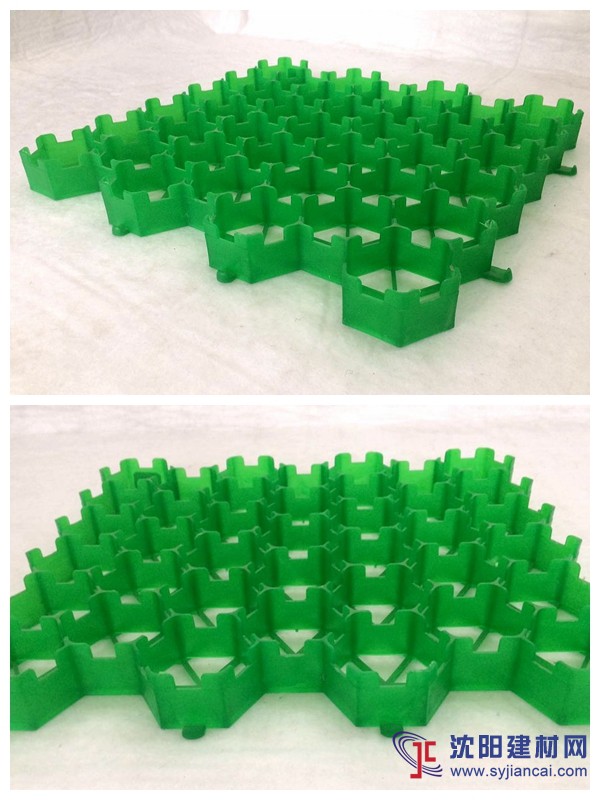 专业生产高品质塑料植草格，4公分、5公分、7公分植