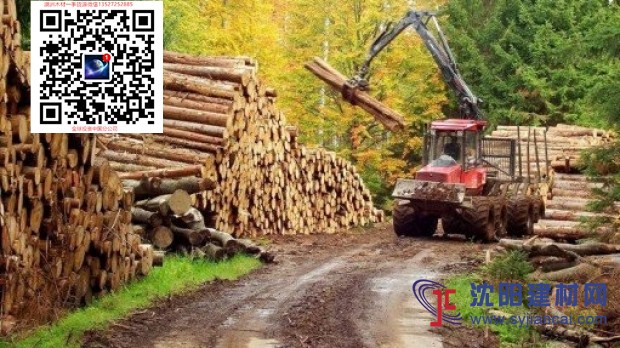 澳大利亚红铁木 铁力木红橡木 铁木原木出诚征代理商