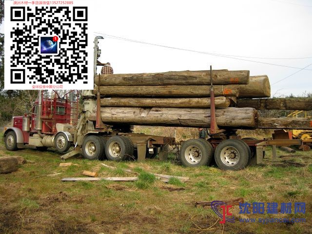 澳洲卡里木 桃花心木卡里木材一手货源批发商