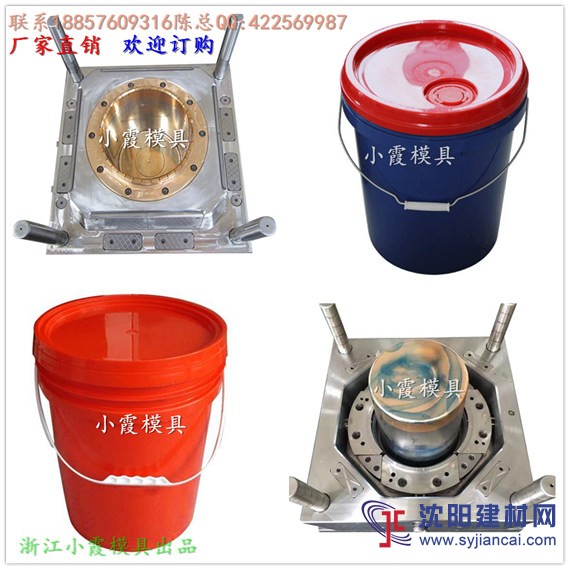 黄岩 模具制造6L化工桶 模具以质取胜
