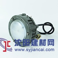 DOD9185LED防爆灯