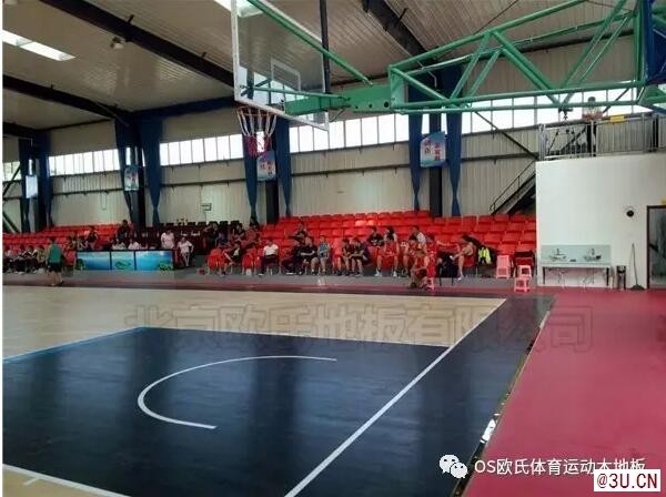 os欧氏乒乓球地板 乒乓球场馆地板胶